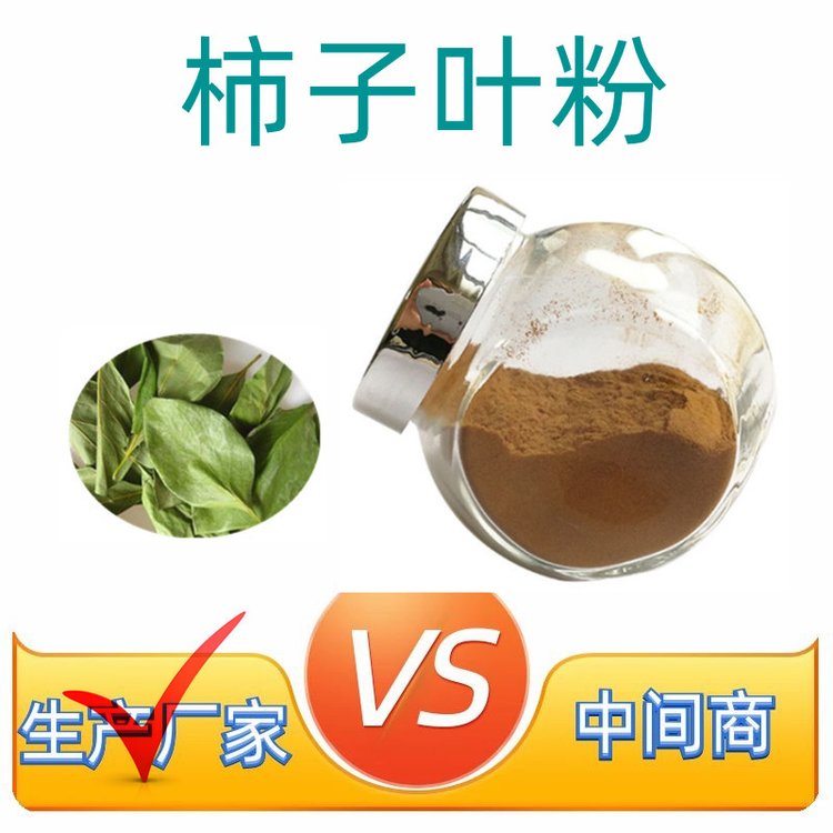 柿子叶粉 水提浓缩 工艺成熟 常年工艺 植物萃取 粉