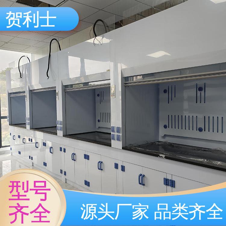 品种多样 长期供应 实验室通风柜 坚固 结构牢固可靠 贺利士
