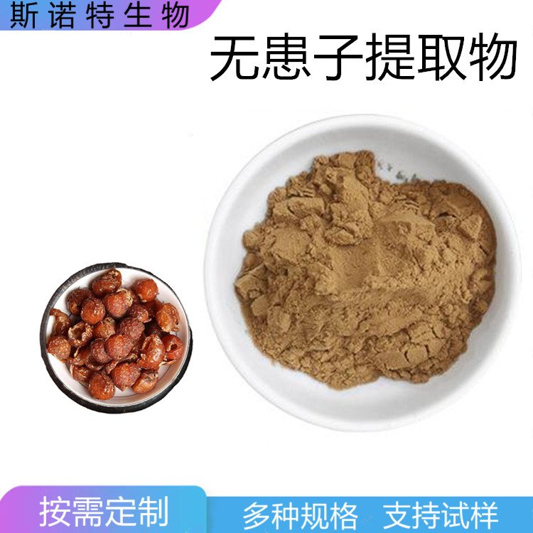 无患子提取物 比例规格10:1 含皂甙 精细粉末 易保存