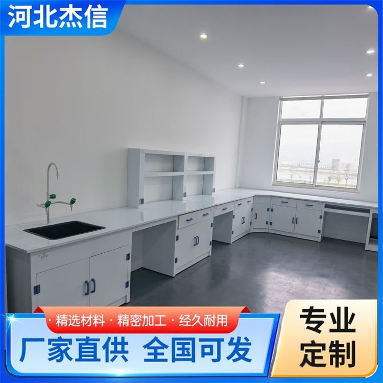 加工pp试剂柜 柜台陈列柜 化学危化品柜 按需定制 大量供应