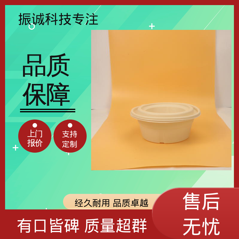 振诚科技 加厚 符合限塑标准餐盒 可微波炉加热 一次性分格餐碗