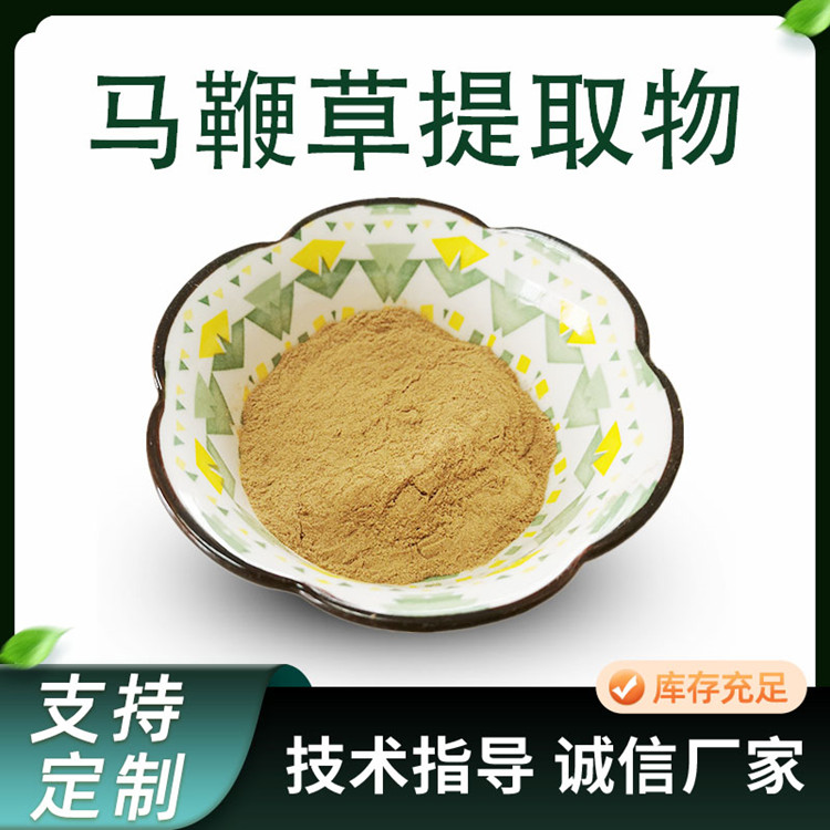 马鞭草提取物 10:1水溶浓缩粉 马鞭草粉 植物萃取原料