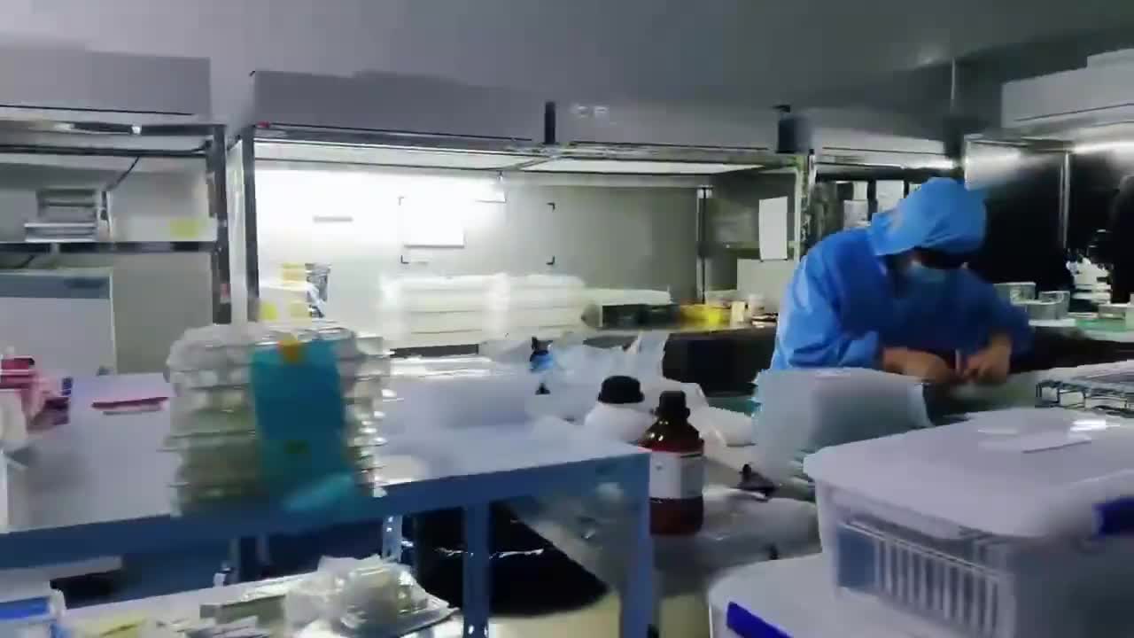 视频