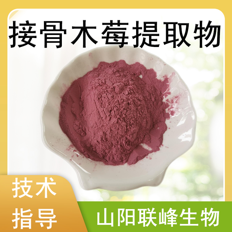 接骨木莓提取物 水溶果粉 食品饮料原料 喷雾干燥 1公斤/包