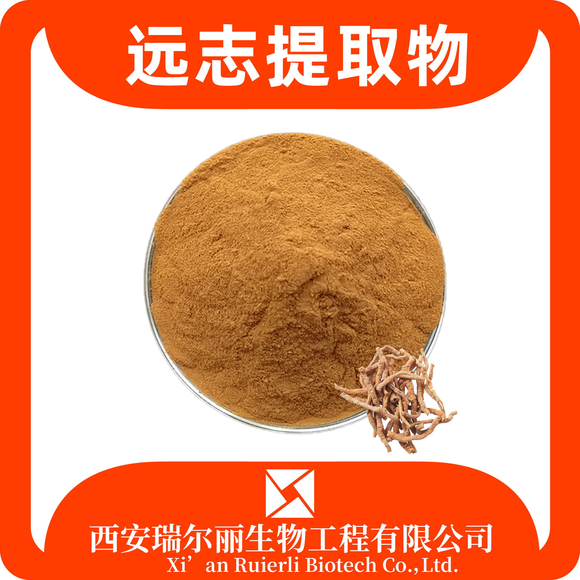 远志提取物 速溶粉 sc证 水溶浓缩粉 远志浸膏 源头厂家 瑞尔丽生物