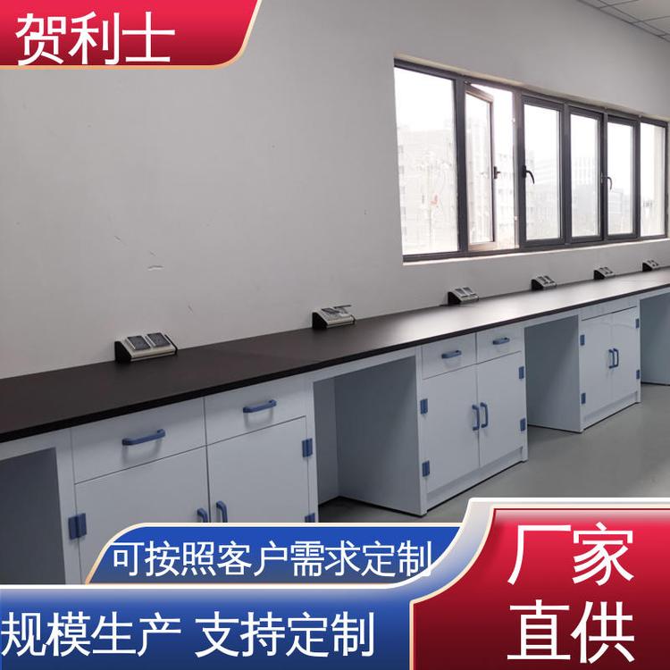 贺利士 耐酸碱pp实验边台 PP实验台柜 适用于医疗卫生 按需定制