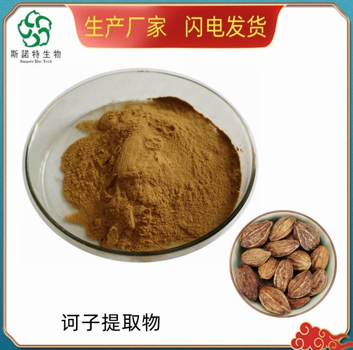诃子提取物 种子萃取 精细粉末 80目 斯诺特 厂家现货
