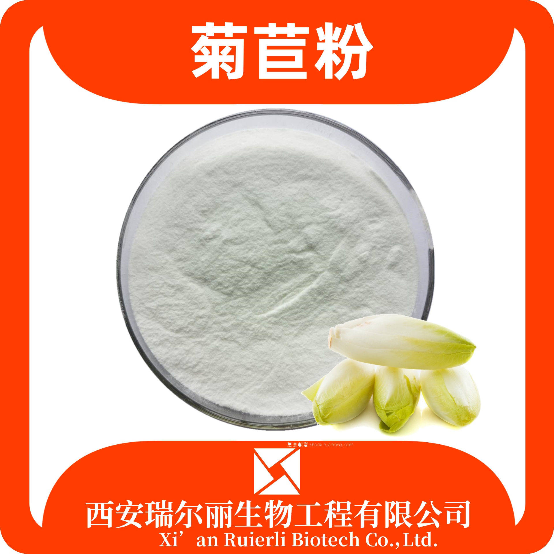 菊苣提取物 菊苣粉 菊粉 水溶膳食纤维粉 浓缩 食品级 SC证瑞尔丽生物