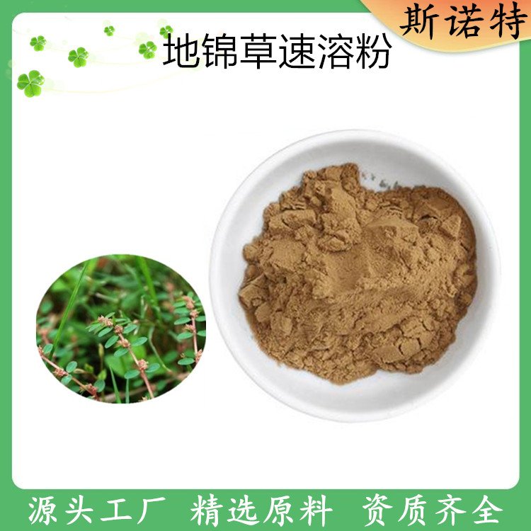 地锦草速溶粉 喷雾干燥 原料粉 斯诺特 库存大 发货快