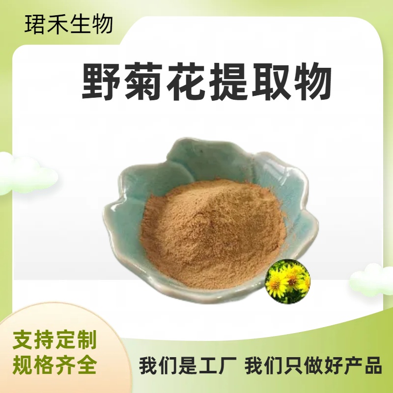野菊花提取物 千层菊水溶粉 比例提取10:1 可水溶 现货销售 珺禾生物