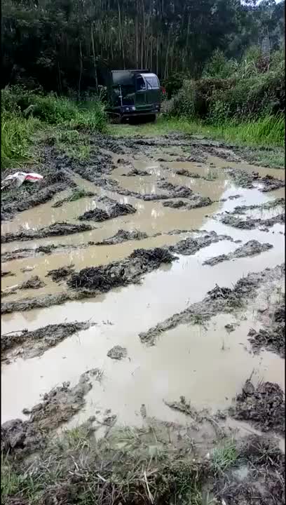 视频