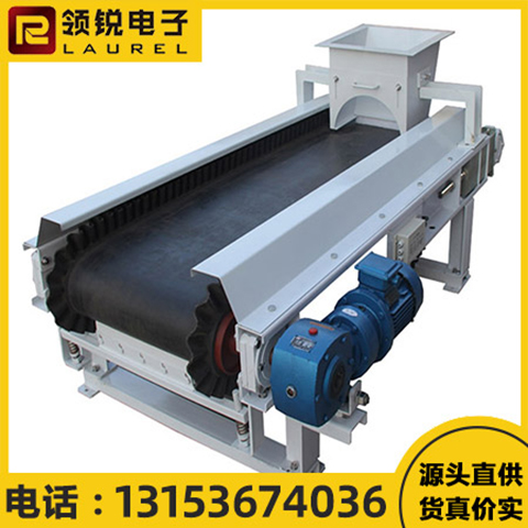 领锐 粉体末定量给料机 经久耐用 结构稳定 易操作 输送能力强