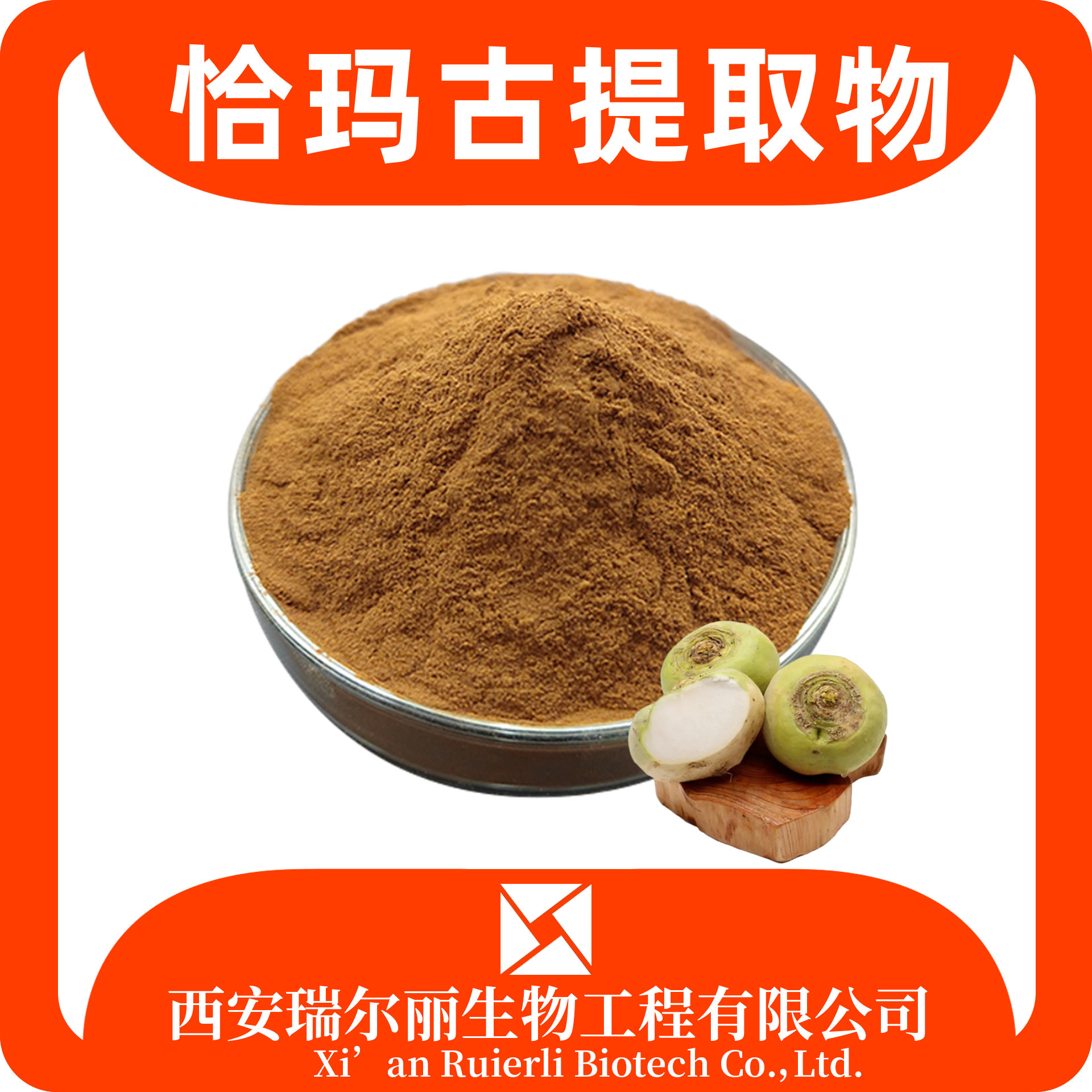 恰玛古提取物10：1 芜菁提取物 速溶浓缩粉 瑞尔丽生物 源头厂家