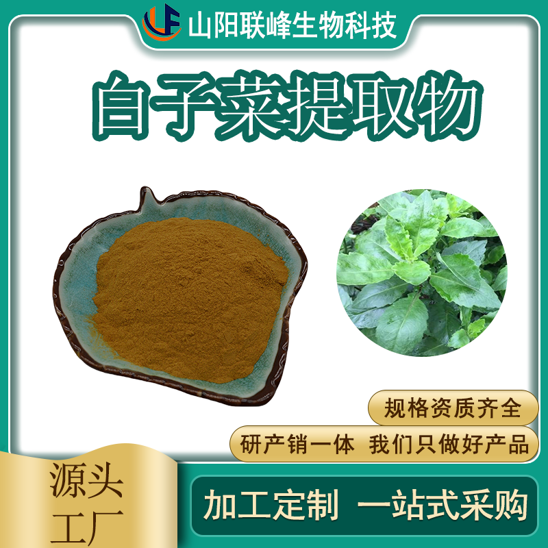 白子菜提取物 新食品原料 多规格 白背三七提取物 水溶 喷雾干燥 可试样