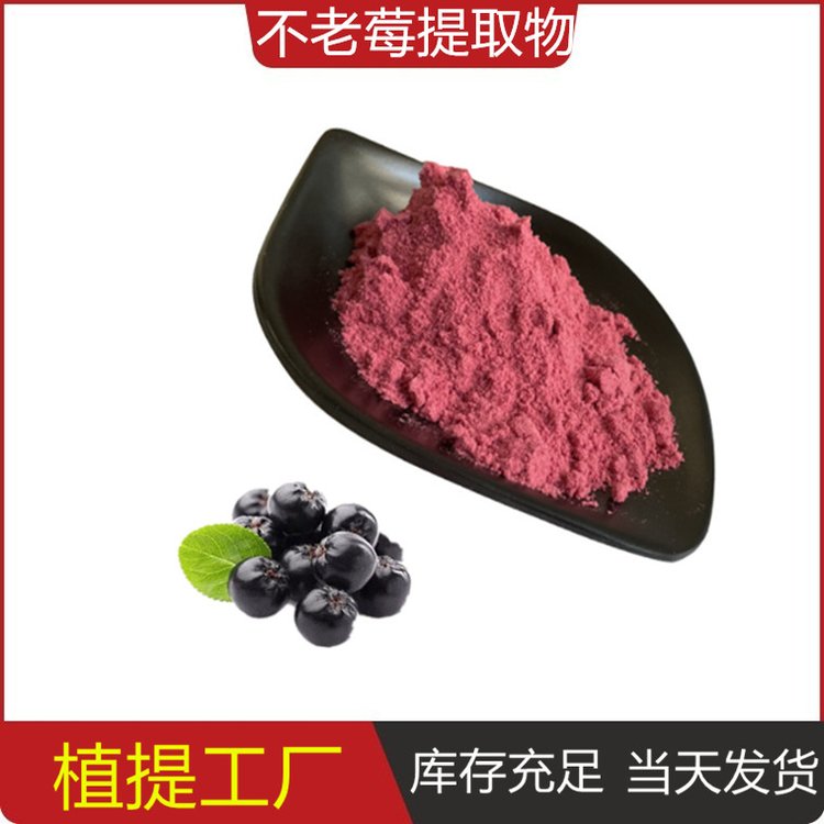 不老莓提取物 原料厂家 斯诺特 浓缩 黑果线肋花楸果粉