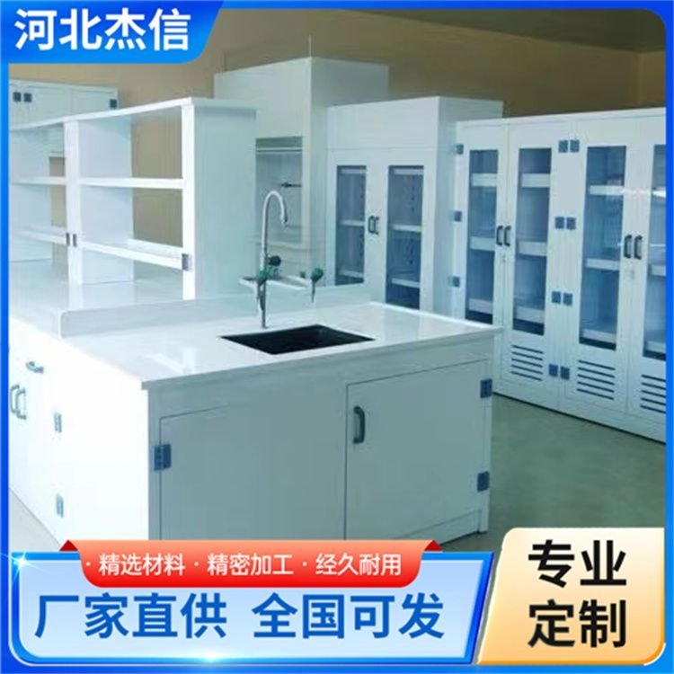 设计pp试剂柜 酸碱柜药品危化品柜 规格齐全 品质过硬