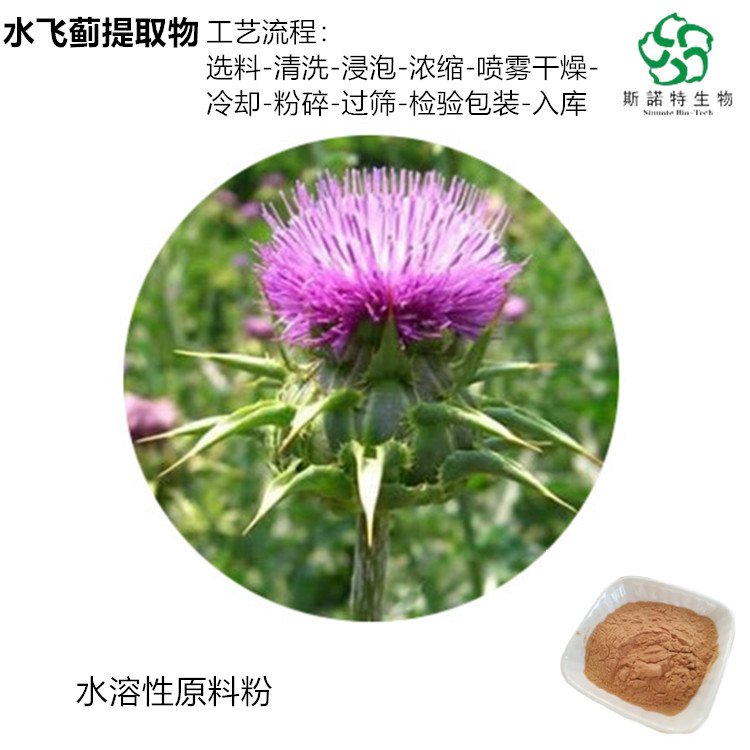 斯诺特 水飞蓟提取物 含量80% 精细粉末 铝箔或纸板桶包装
