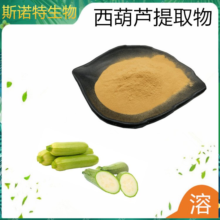 西葫芦提取物 比例提取 精细粉末 现货 斯诺特原料粉