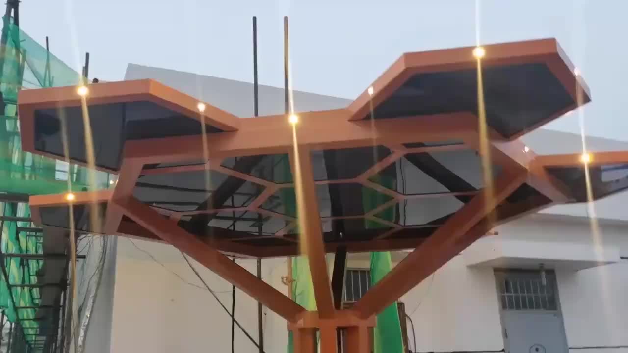 视频