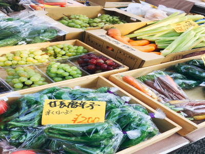 东方药蝎