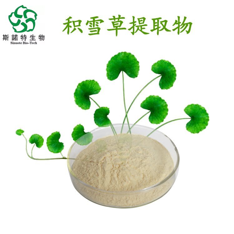 积雪草提取物 植物性原料 水溶性粉末 足量供应