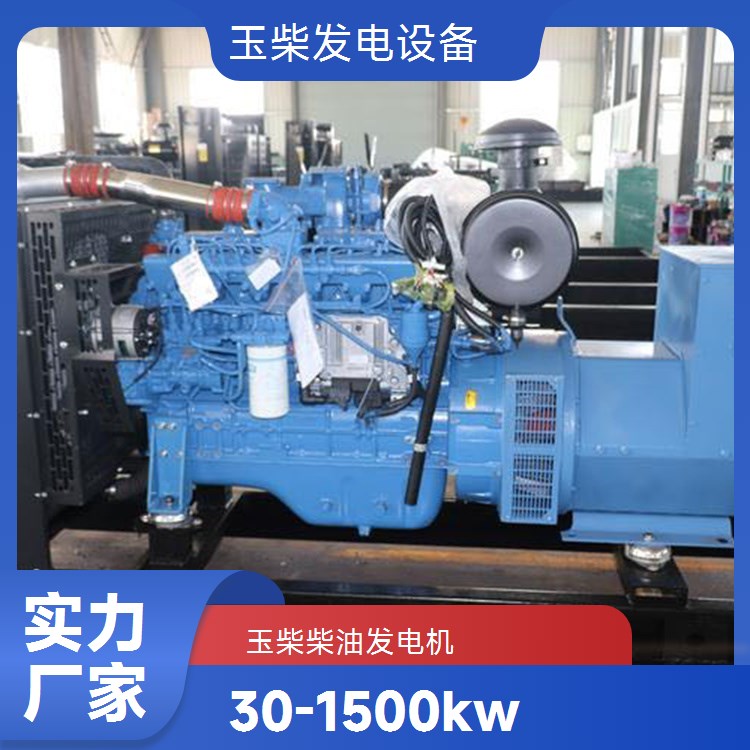 玉柴250KW柴油发电机组 电子调速AVR高原矿山专用