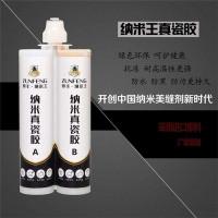 尊丰纳米真瓷美缝剂