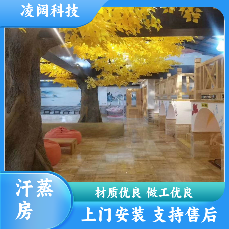 凌阔科技 别墅 中药灵芝汗蒸房 实用耐用 方便操作 上门施工