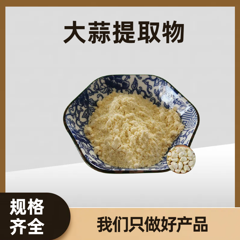 大蒜提取物10:1 水溶大蒜浓缩粉 浸膏 食品原料 可根据需求定制
