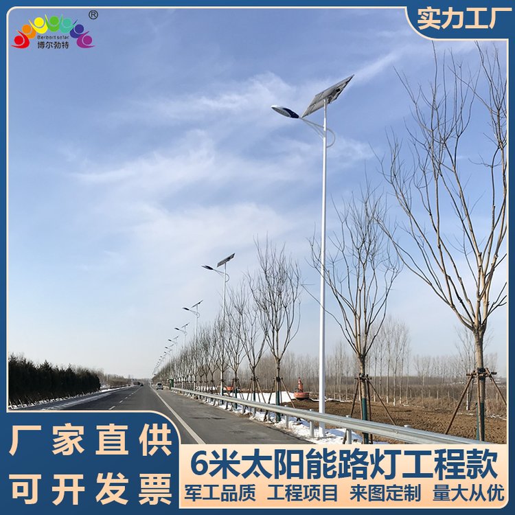 博尔勃特乡村振兴热镀锌灯杆 太阳能路灯厂家批发