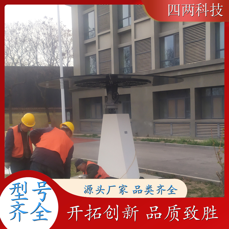 四两 市政公园 太阳能景观花 识别天气 库存充足 品牌