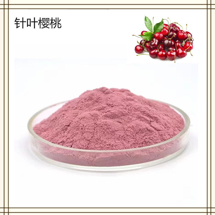 针叶樱桃果速溶粉 斯诺特生物 固体饮料拆包打样