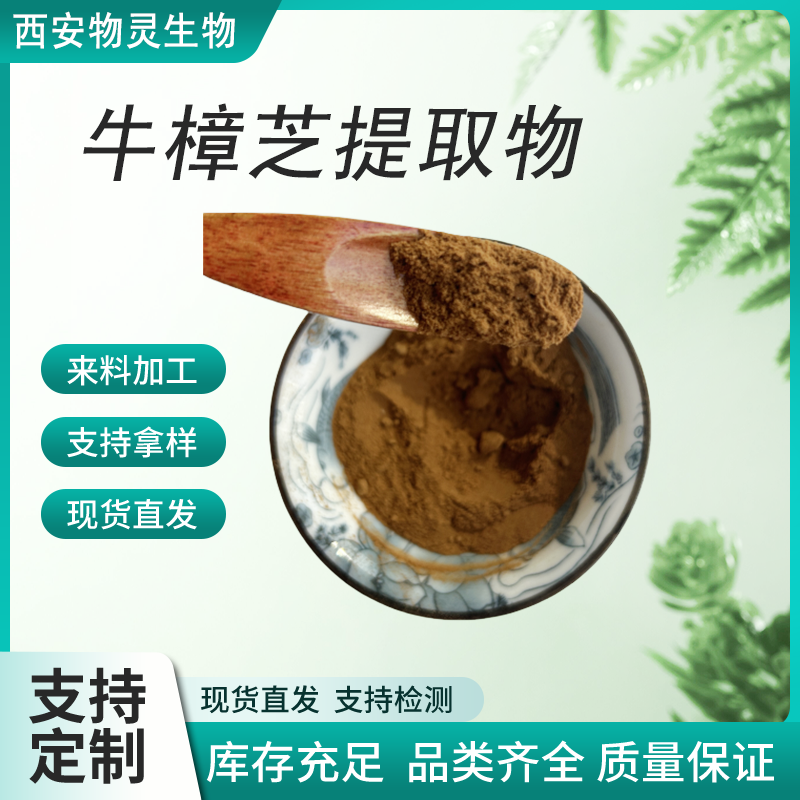 牛樟芝提取物 樟菇浓缩萃取粉 多糖 水溶性好 多规格 物灵生物 定制加工