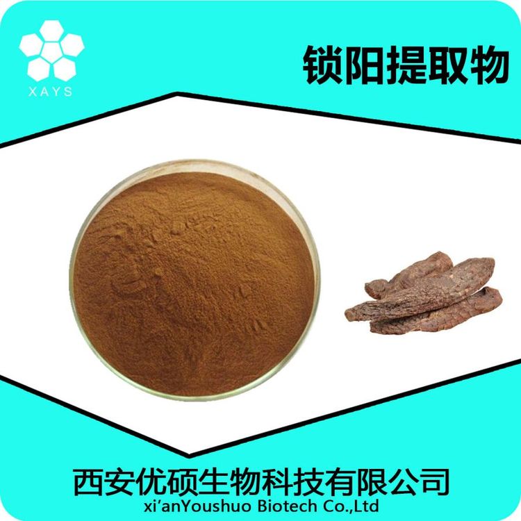 锁阳提取物 水溶锁阳粉 浓缩粉 可塑性高 应用领域广泛 优硕生物
