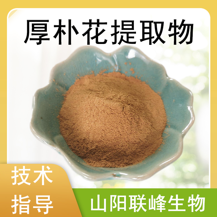 厚朴花提取物 10：1厚朴花水溶浓缩粉 支持定制 食品原料 1公斤起订