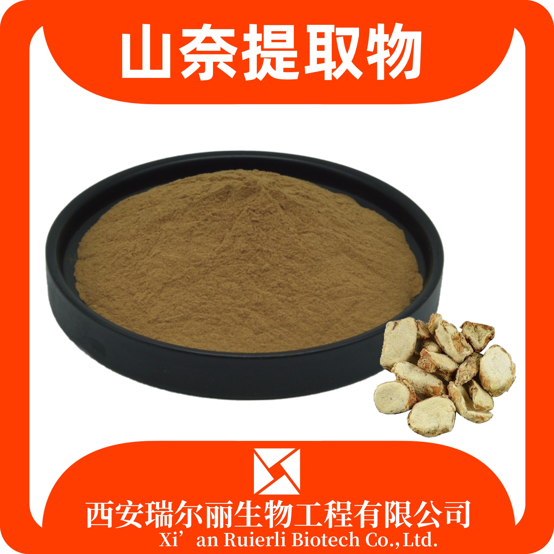 山奈提取物 速溶山奈粉 沙姜粉 可定制 食品原料 瑞尔丽生物 源头厂家