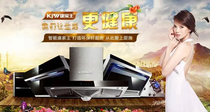康家王智能电器