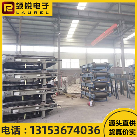 带式定量给料机 实用性较强 速度可调 领锐电子 LR04