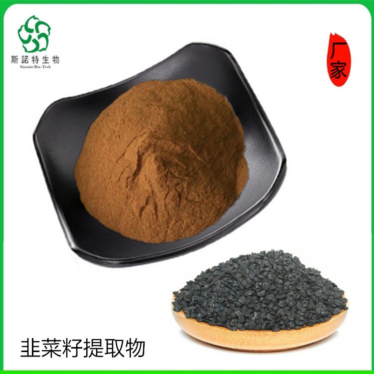 斯诺特 韭菜籽提取物 种子浓缩粉 粉末细腻 可长期供应