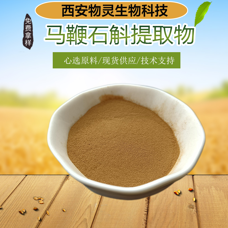 马鞭石斛提取物10:1 水溶浓缩粉 植物萃取 物灵生物 多规格 支持定制