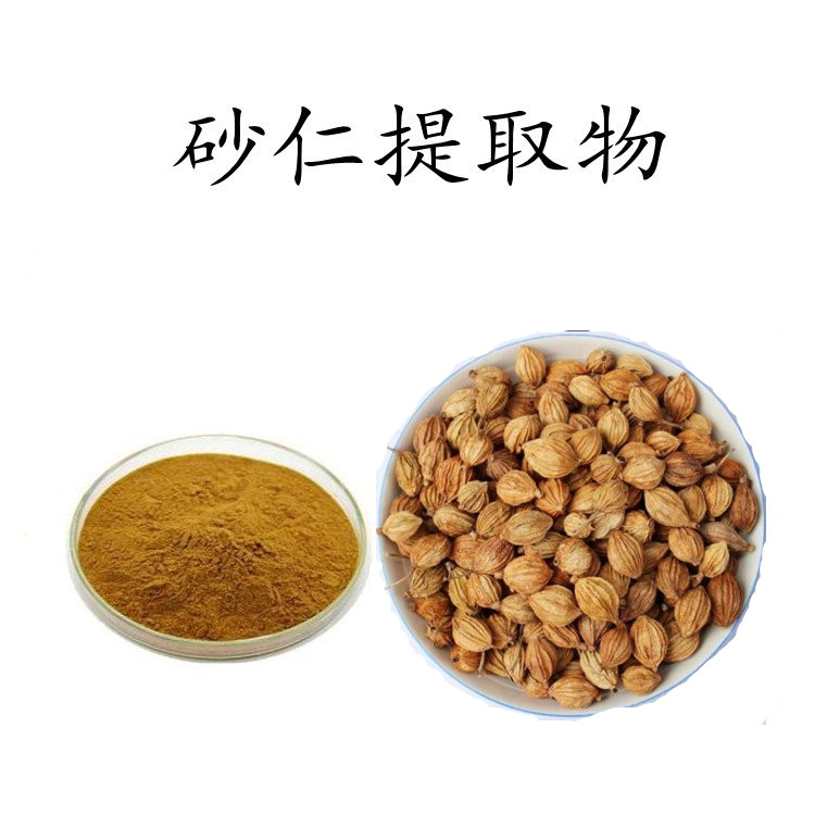 砂仁提取物浓缩 棕黄色精细水溶粉 斯诺特可定制颗粒