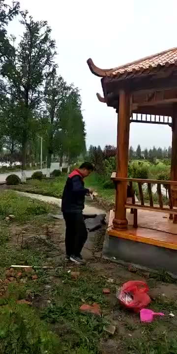 视频