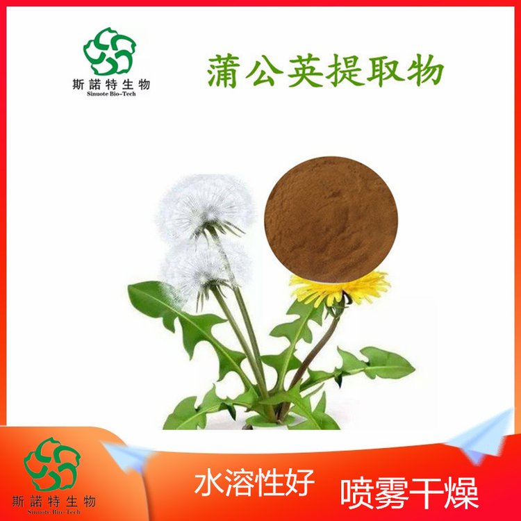 斯诺特 蒲公英提取物 水溶性原料 80目粉末 食品级