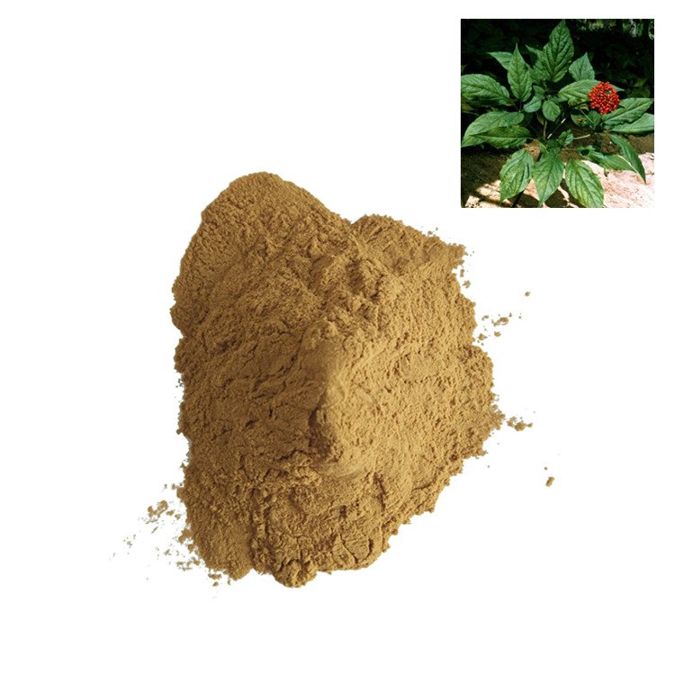 人参叶提取物 多规格比例浓缩浸膏喷雾干燥 水溶精细粉末