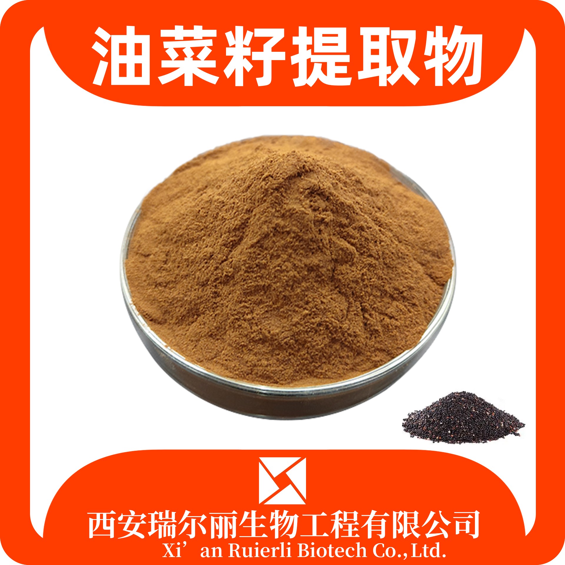 油菜籽提取物 速溶油菜籽粉 食品级 SC证可定制 源头厂家 瑞尔丽生物