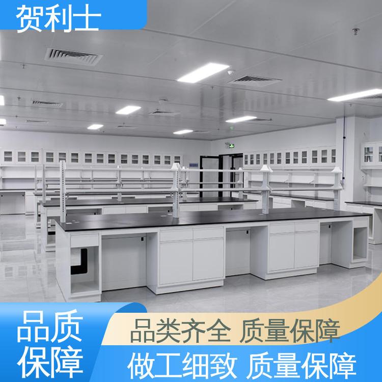贺利士 全钢实验台 坚实耐用 匠心打造 一站式工程 耐高温