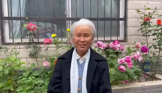 视频