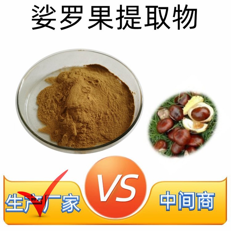 娑罗果提取物 精细粉末 斯诺特 植物萃取 浓缩娑罗子粉