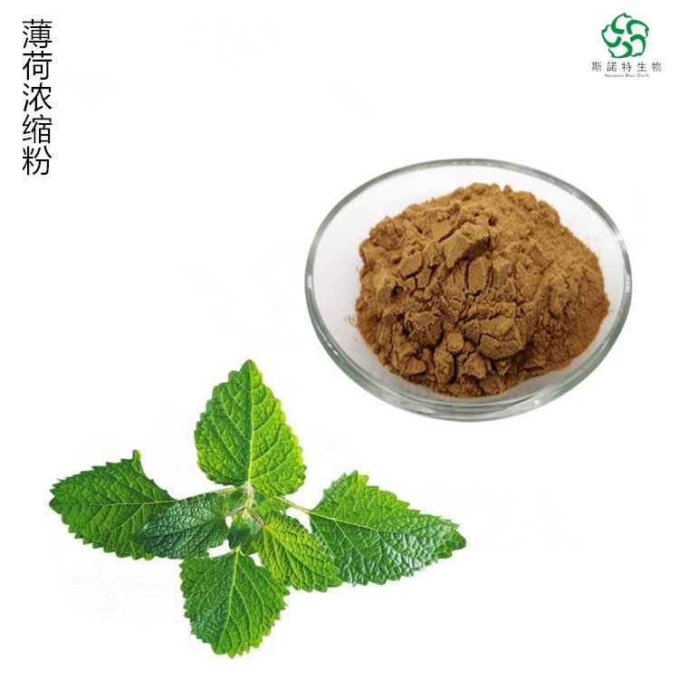 薄荷浓缩粉 10倍浓缩 精细粉末 溶水没有沉淀 出厂合格