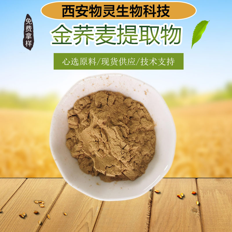 金荞麦提取物 水溶性原料粉 10:1比例浓缩萃取 多种规格 喷雾干燥